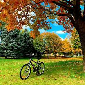 I love you the whitest