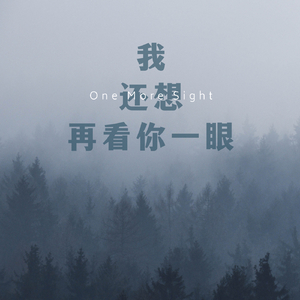 我还想再看你一眼