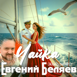 Чайка