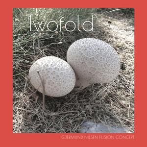Twofold (feat. Terje Kingsrød, guitar)