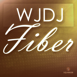 Fiber (Original Mix)