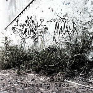 Encantado (2nd version)