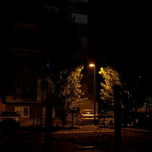 Zarolaj Raketu