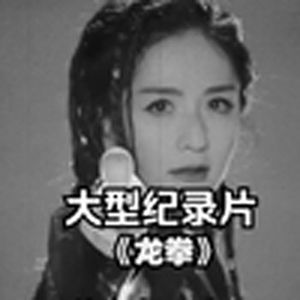 大型纪录片《龙拳》