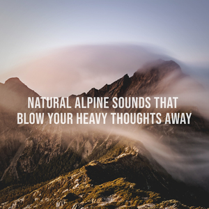 Stiff Mountain Breezes Surround the Summit: Natural Alpine Sounds That Blow Your Heavy Thoughts Away