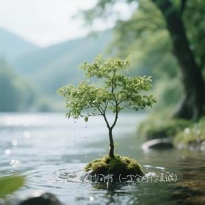 时间啊 (一定会对你真诚)