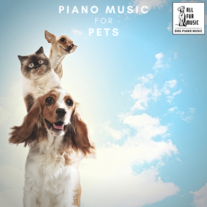 Pawsitively Relaxing