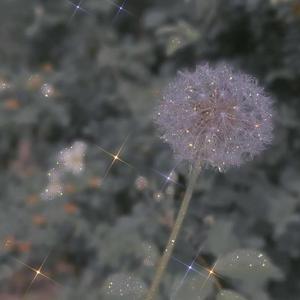 一个夏天的海边日记（Prod by YZ）