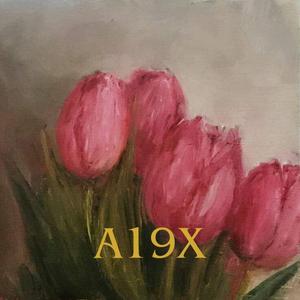 A19X