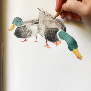 flareless candletone