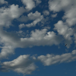 Мин тапталым