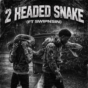 2 Headed Snake (feat. swipnsin)