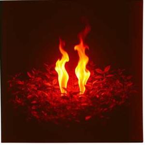 Nos bebimos la noche