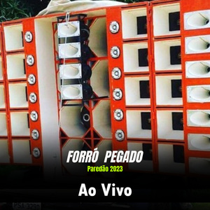 Investigador das gatas - Ao Vivo