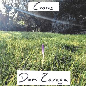 Crocus