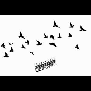 FLOCKIN'
