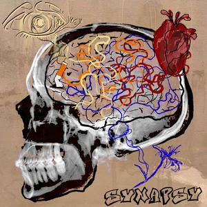 Synapsy