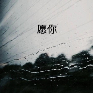 愿你Demo