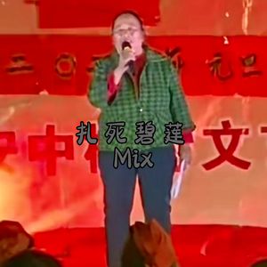 扎死碧莲（避雷婶-Mix）
