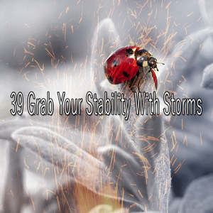 已解決的思想降雨