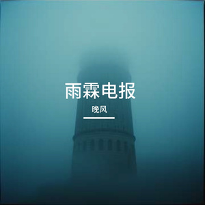 雨霖电报