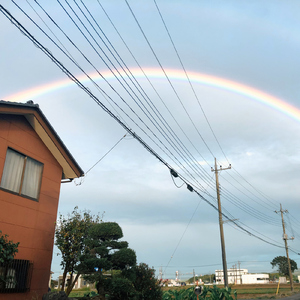 ハレとケ (2025 Remaster)