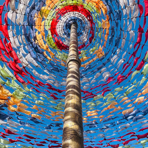 轻舞（翻自 陈抒妮）