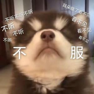 做作业时看到包装想到顺便录的