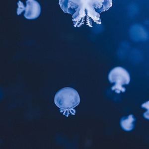 ひかりのなかで