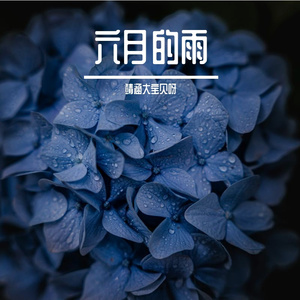 六月的雨（翻自 胡歌）