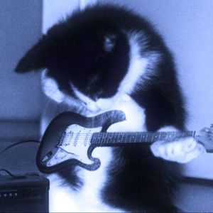 （FREE）“幻梦” indie rock+河南说唱之神+pop punk - Type beat