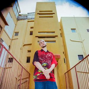 פיל על הביט