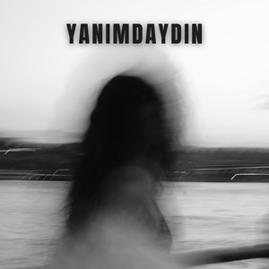 Yanımdaydın