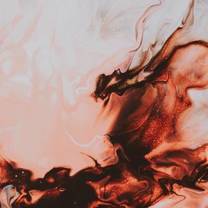 卡西莫多的礼物（有怪物）