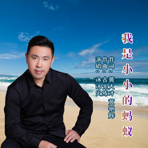 我是一只小蚂蚁