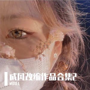 如果可以（吉他指弹纯音乐）成风改编