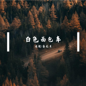 白色面包车
