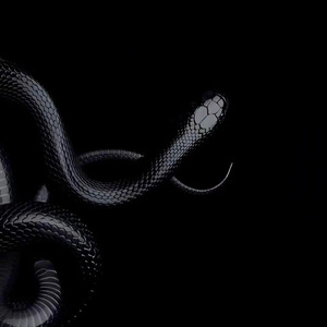 夢幻上昇：Mew Rage Up！