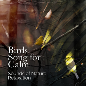 Clattering Rain on Branches