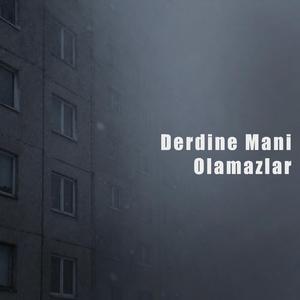 Derdine Mani Olamazlar