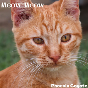 Meow Meow