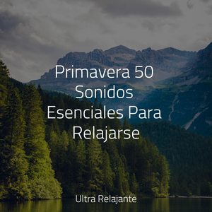 Ondas Fluctuantes