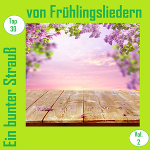 Sommer, Sonne, Ostseestrand