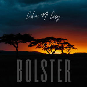 Bolster