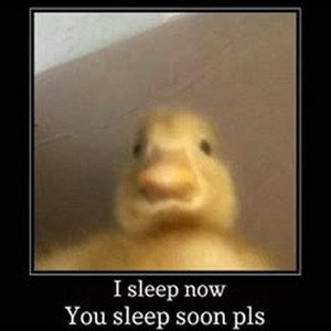 Love You Like A Love Song (slowed)