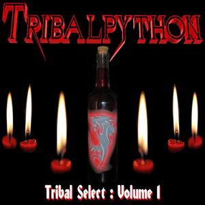 Tribalnation
