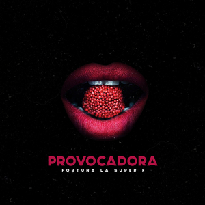 Provocadora