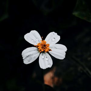 Love you three thousand times（不止三千遍）