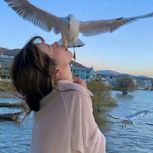 风吹过千里-（DJ卡点版）