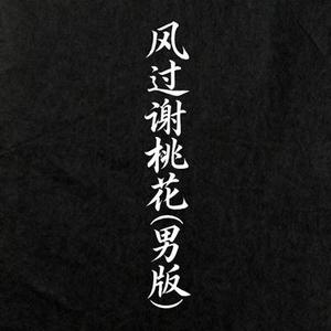 风过谢桃花 (男版) (Remix)